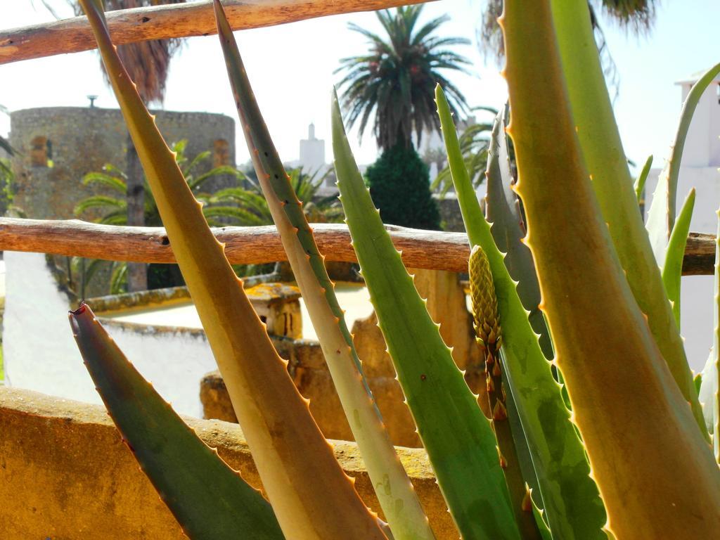 Patio De La Luna Asilah Buitenkant foto